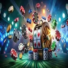 tg8806 bingo trực tuyến
